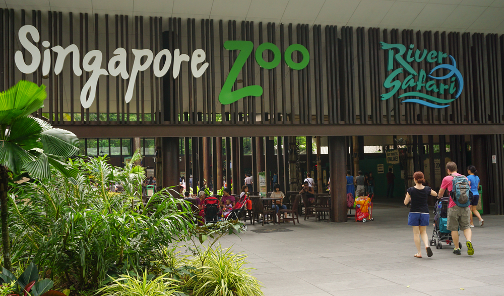 Picture Of A Singapore Zoo